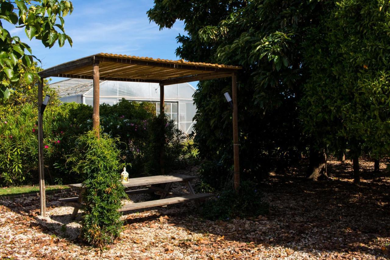 Tapada Dos Machados Guest House Donalda Eksteriør bilde